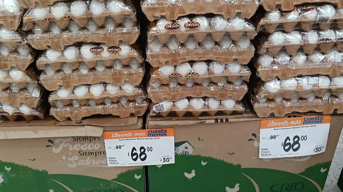 WhatsApp Image 2026-04-15 at 5.40.42 PM