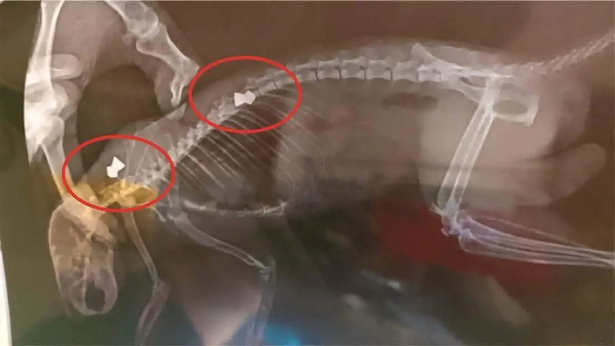 WhatsApp Image 2026-04-15 at 4.56.40 PM