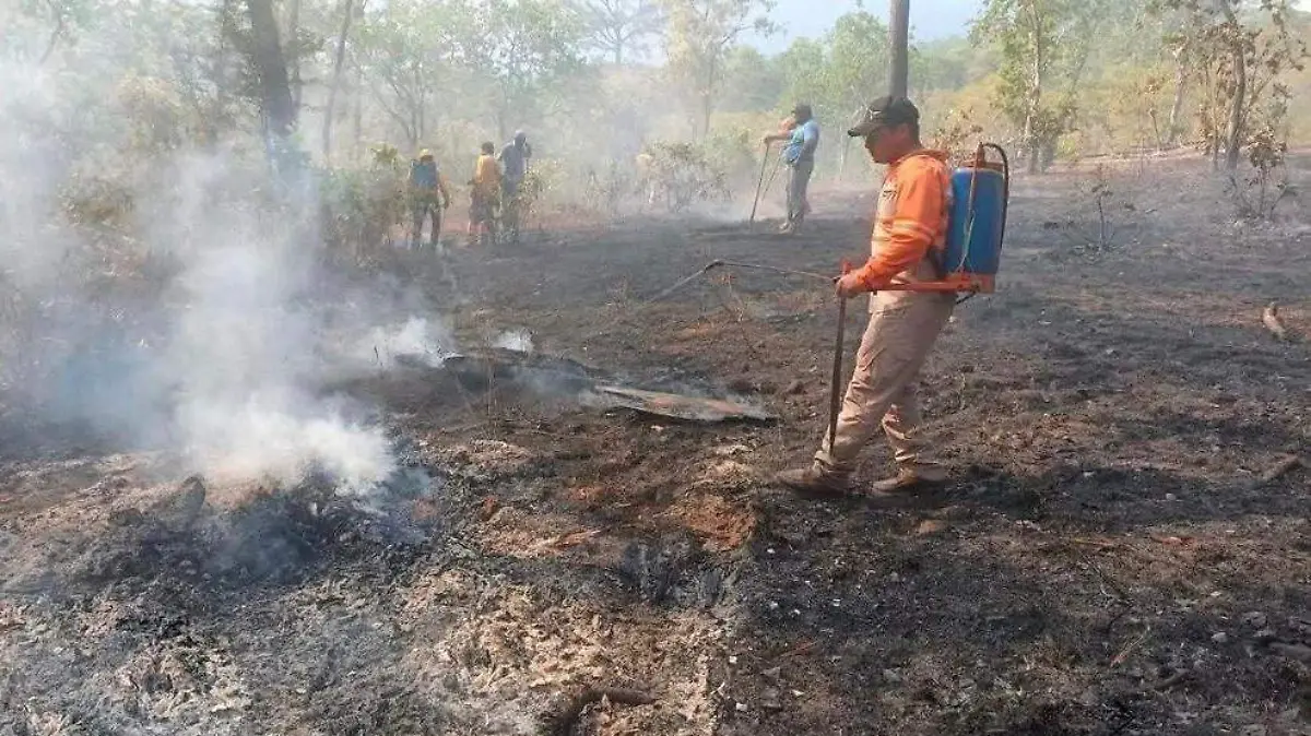 WhatsApp Image 2026-04-19 at 12.43.33 PM