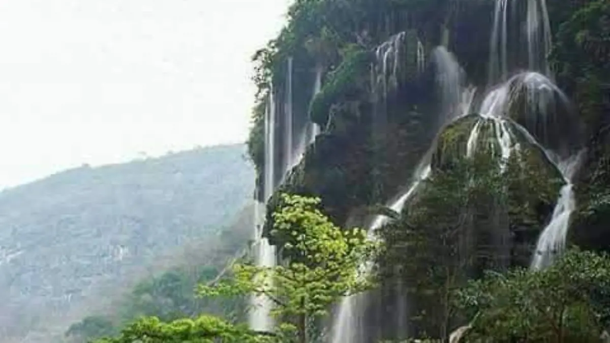 WhatsApp Image 2026-04-20 at 14.45.34