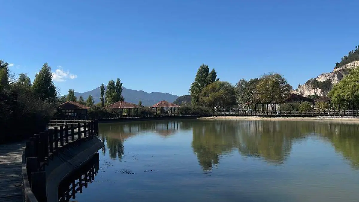 WhatsApp Image 2026-04-20 at 4.17.31 PM (1)