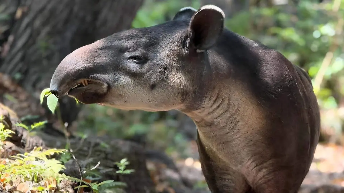 FB_IMG_1776798496030