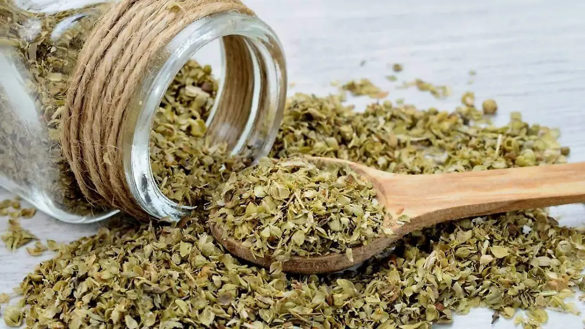 oregano