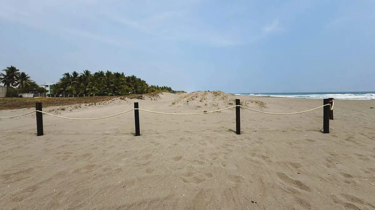 WhatsApp Image 2026-04-24 at 2.20.05 PM