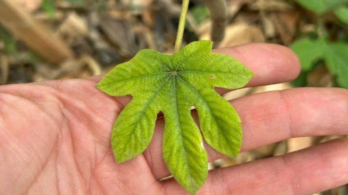 WhatsApp Image 2026-04-24 at 8.14.55 PM