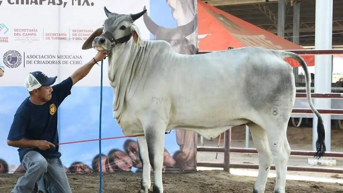 WhatsApp Image 2026-04-25 at 12.07.47