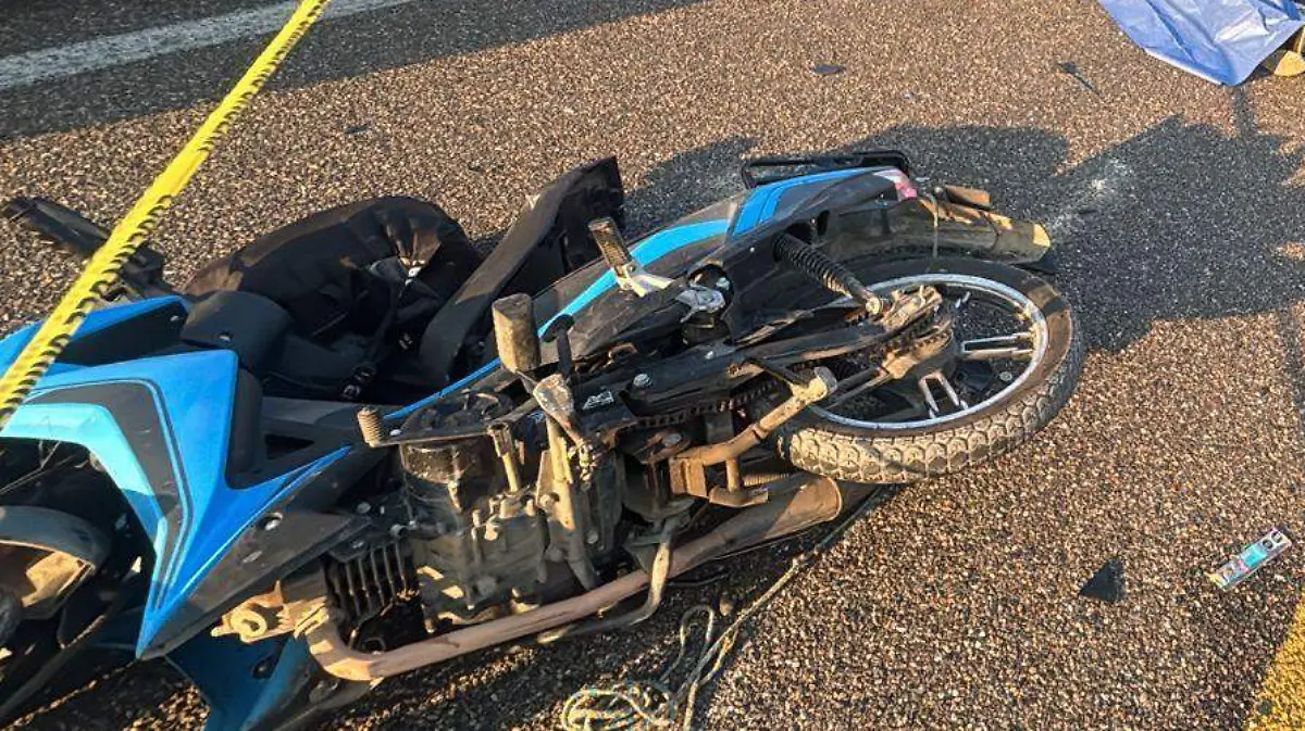 WhatsApp Image 2026-04-27 at 7.04.22 PM