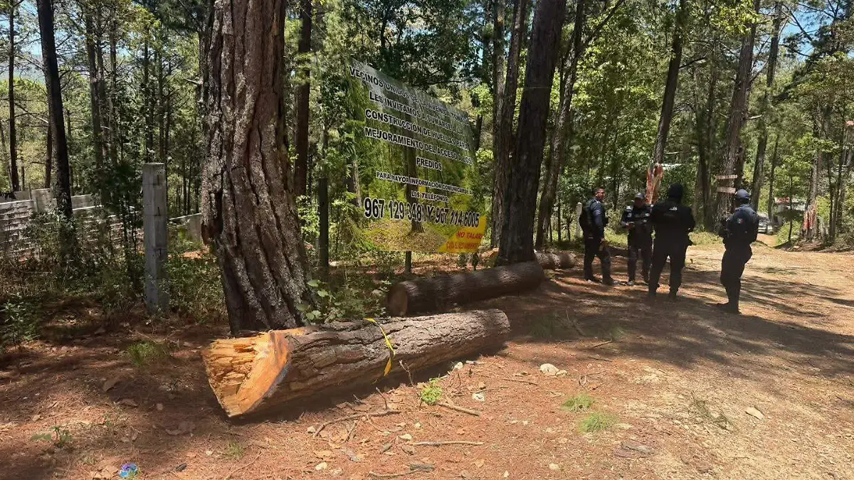 Madera