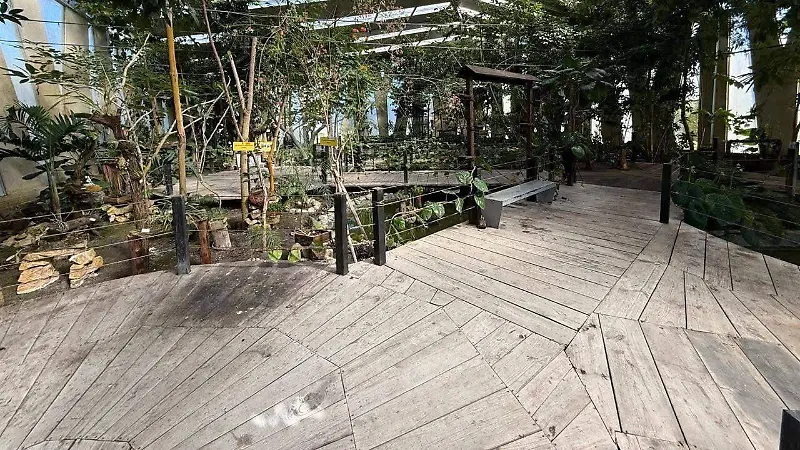 Madera5