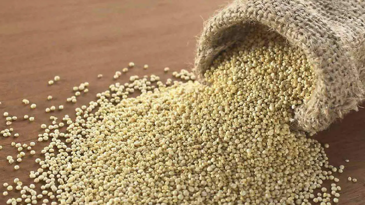 Soya