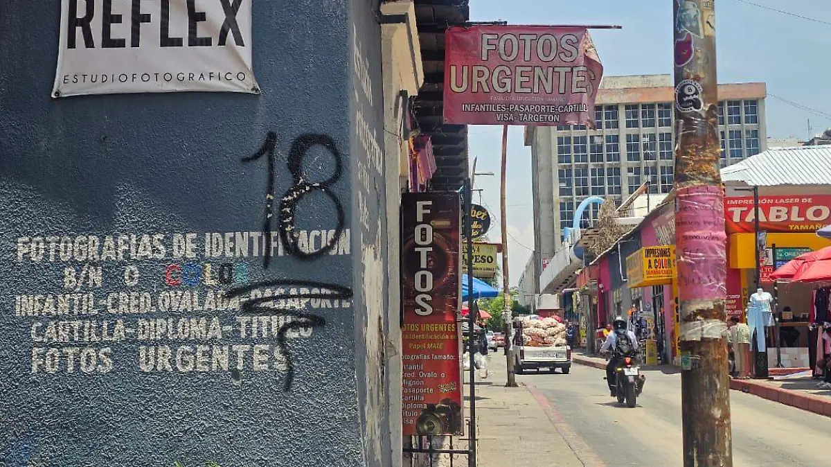 Pintas