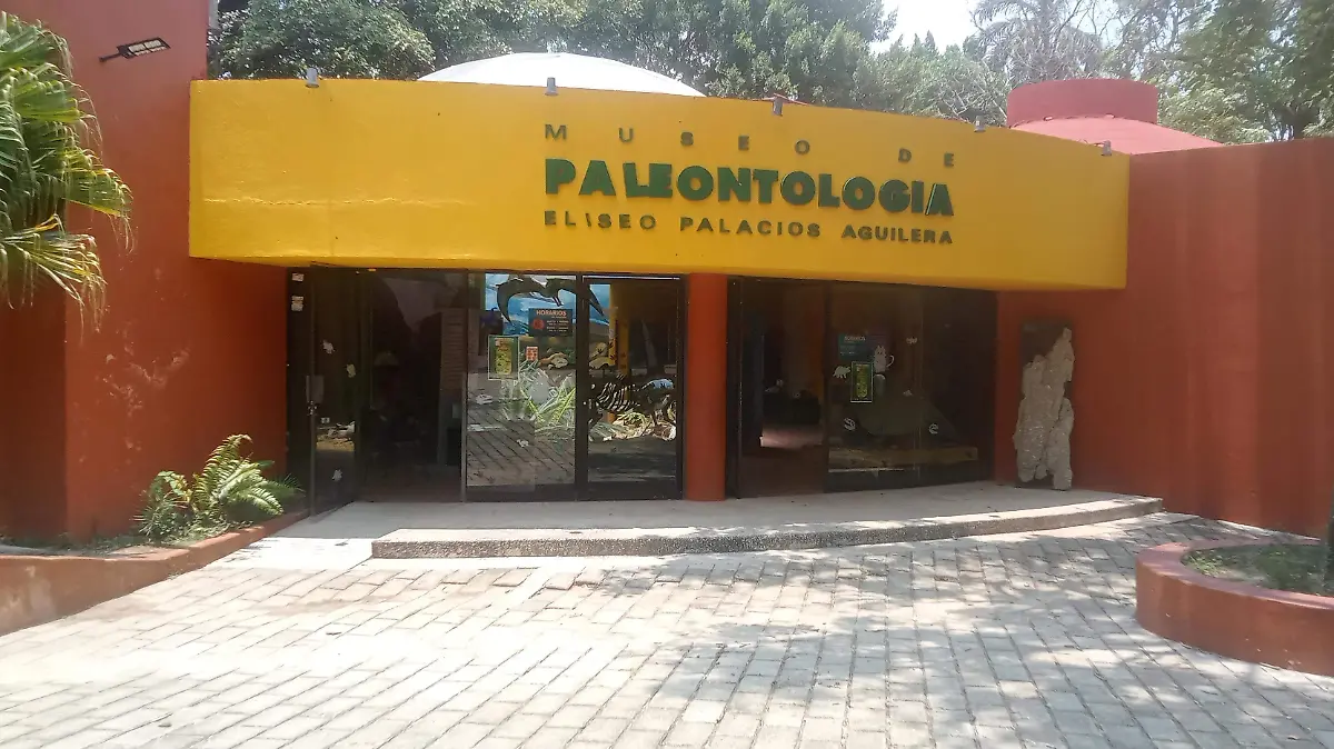 IMG20260515115706