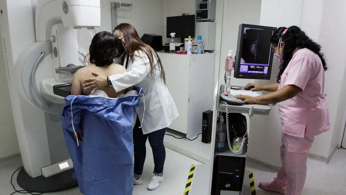 836595_Servicios de Salud en el IMSS_impreso