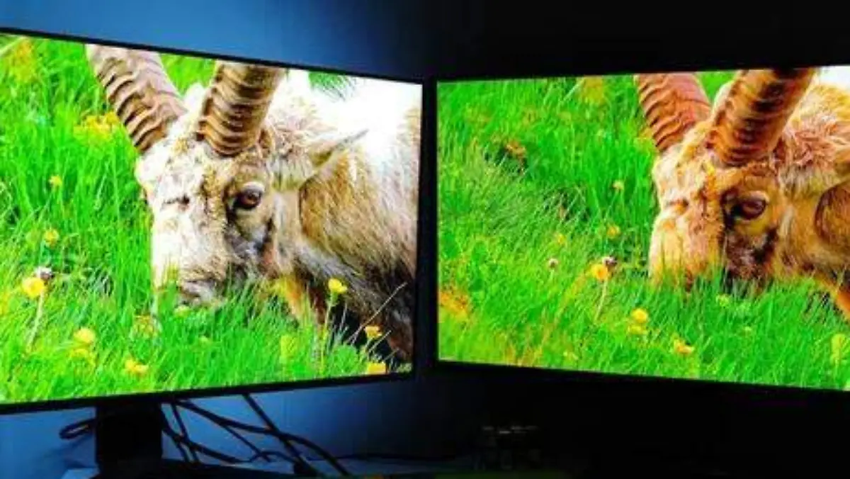 oled-vs-ips-the-difference-isnt-as-big-as-i-expected-v0-0djf55w4b06g1