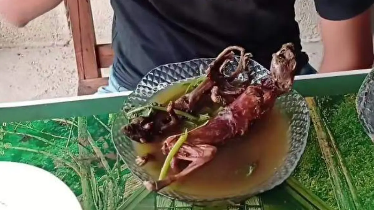 Caldo Rata