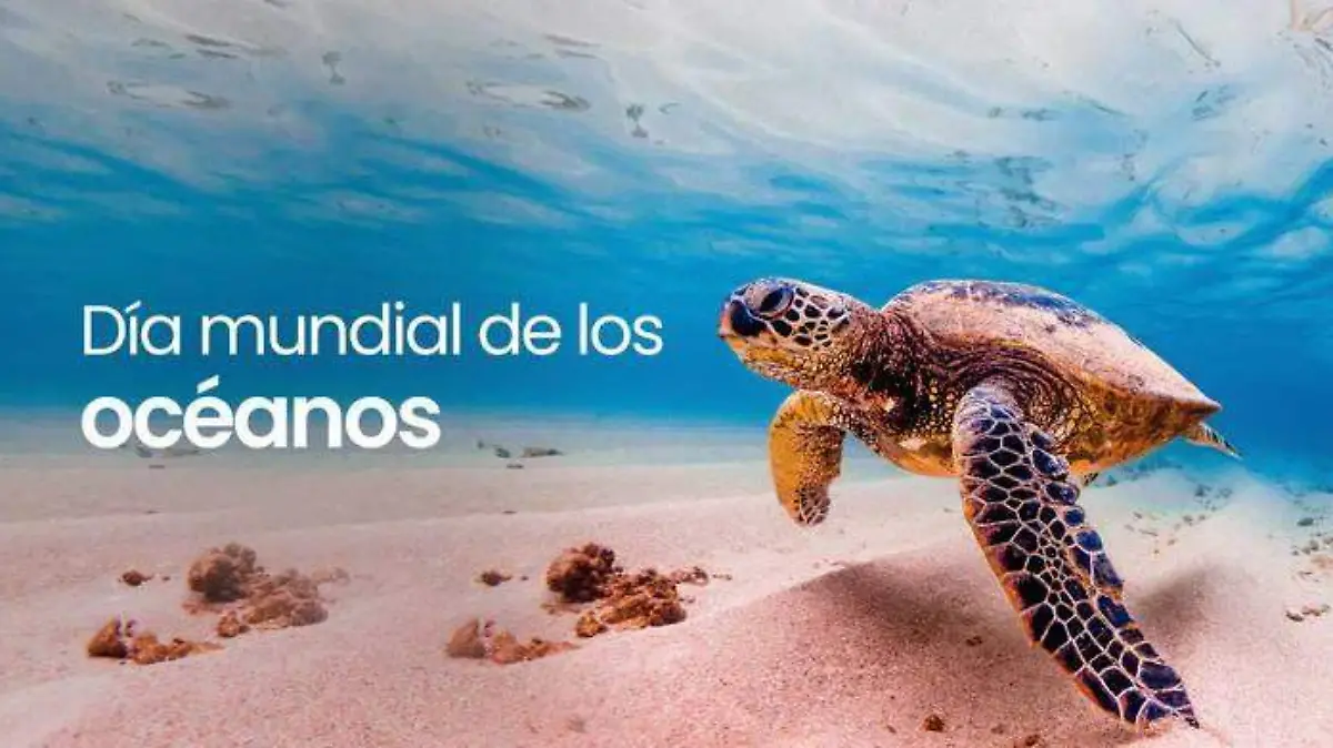 portada_blog_2
