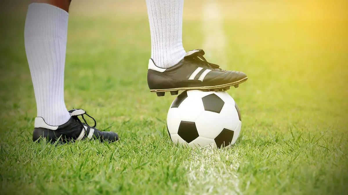 soccer-player-standing-with-ball-on-the-field-free-photo