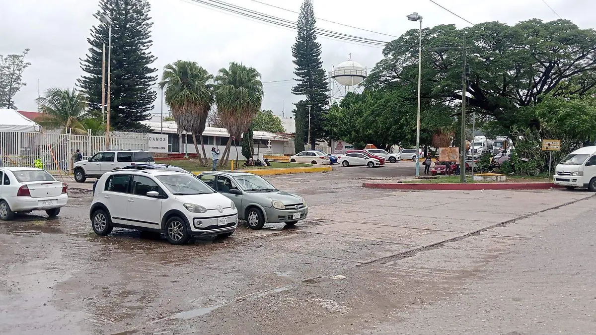 maestros lev antan planton en pemex