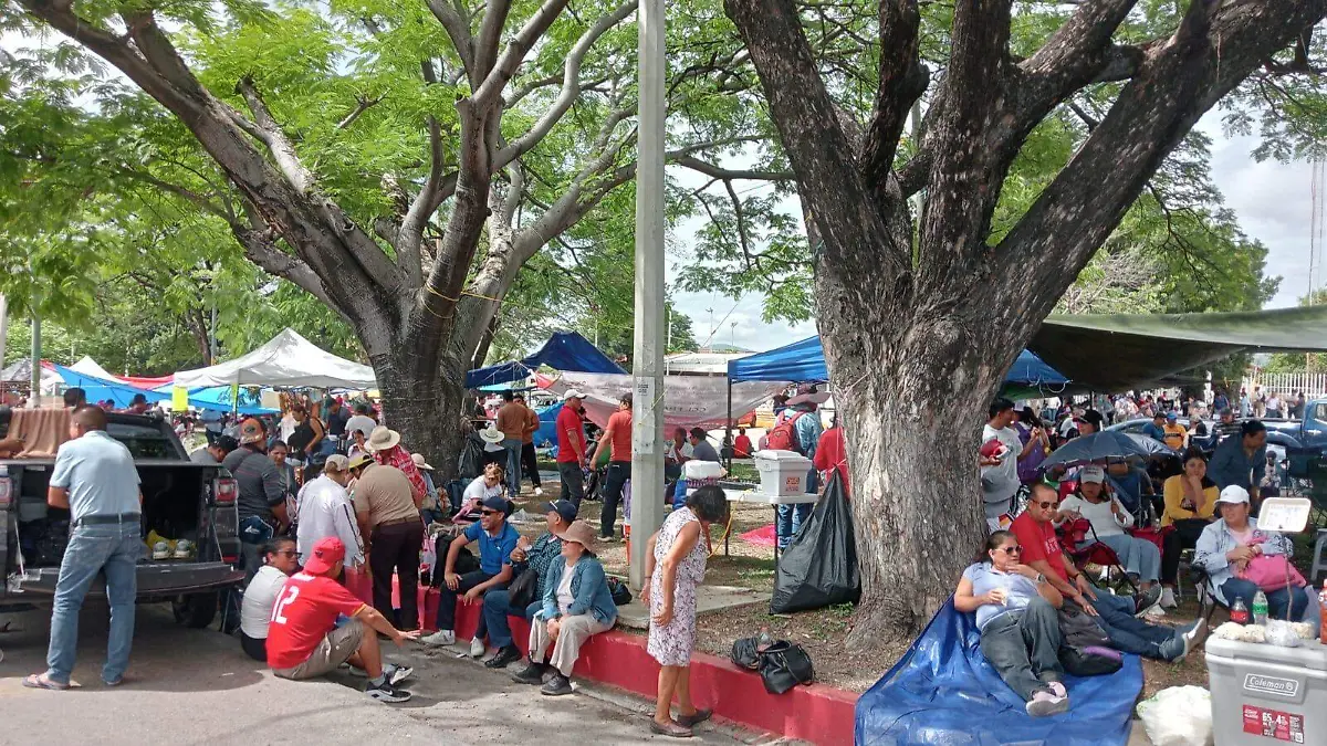 cnte regresa a aulas por clausura