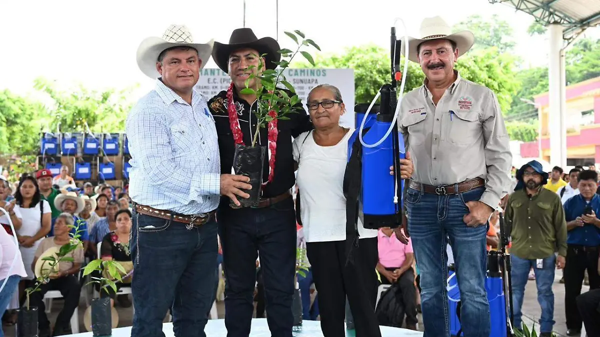 Gobernador