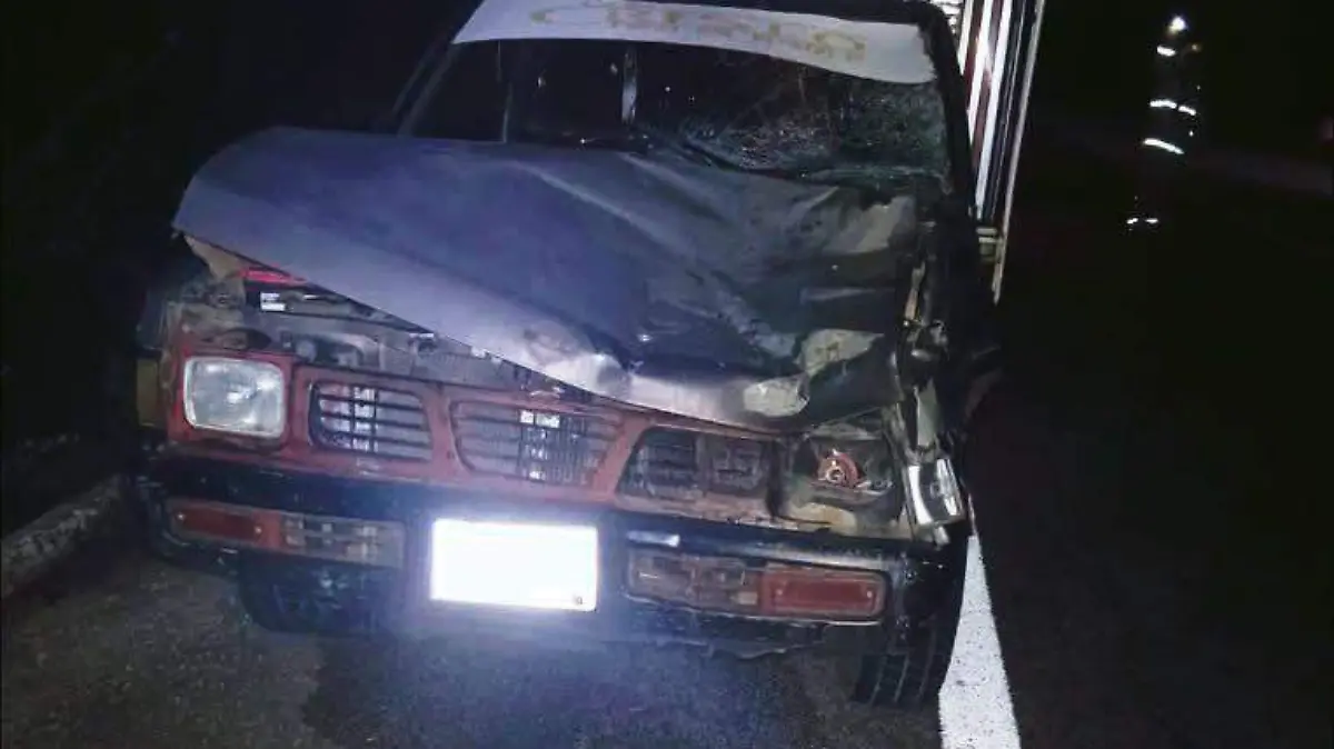 accidente por ganado