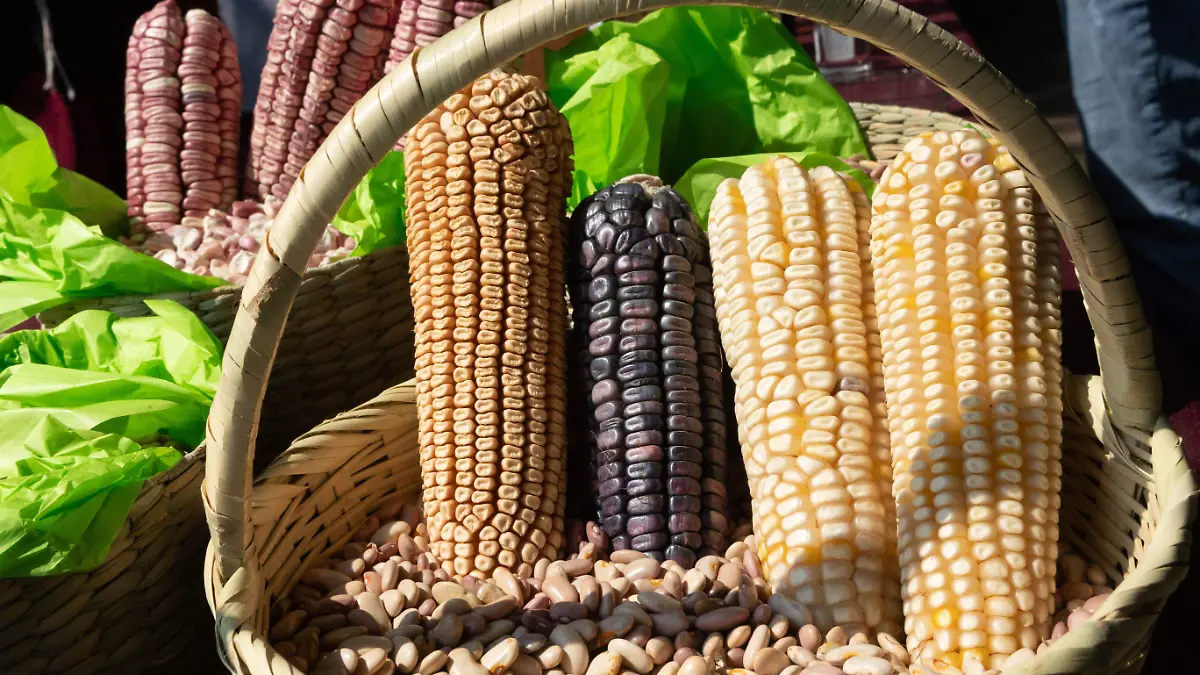 1060068_Productores de Michoacán_impreso