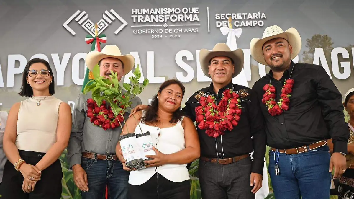 boletin