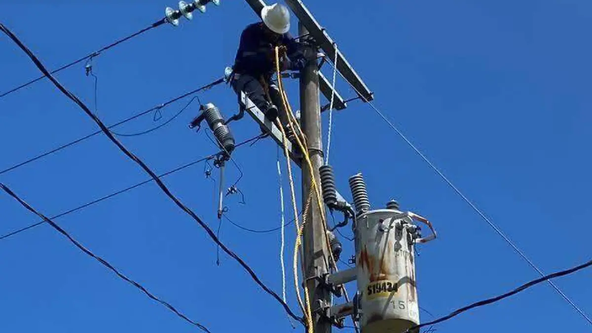 WhatsApp Image 2026-07-12 at 8.31.10 AM (1)
