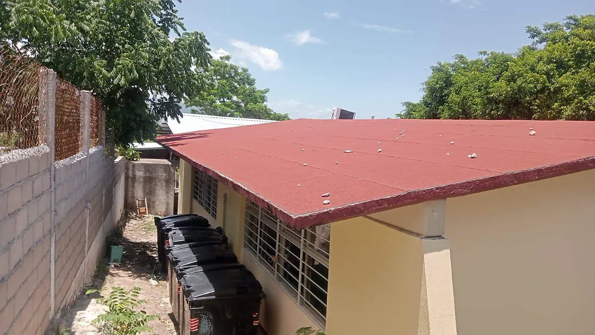 WhatsApp Image 2026-07-14 at 12.22.12 PM