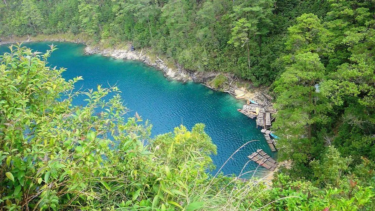 IMG-20260718-WA0019