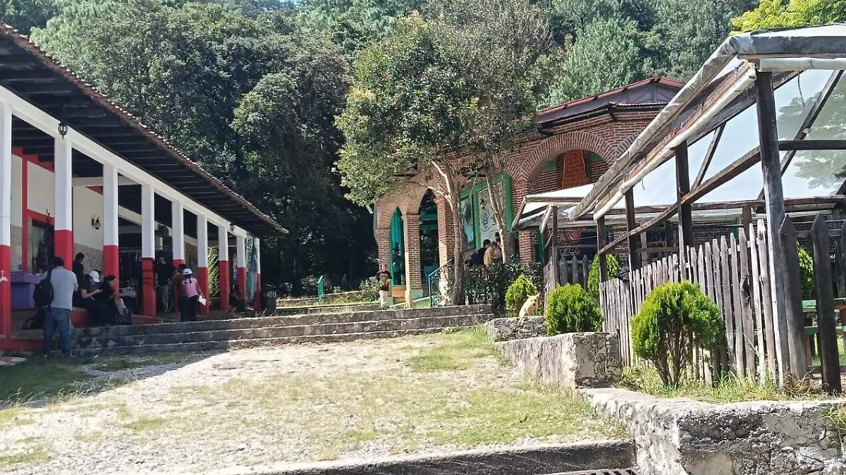 EZLN