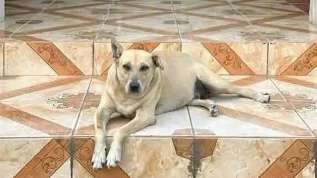 cuete