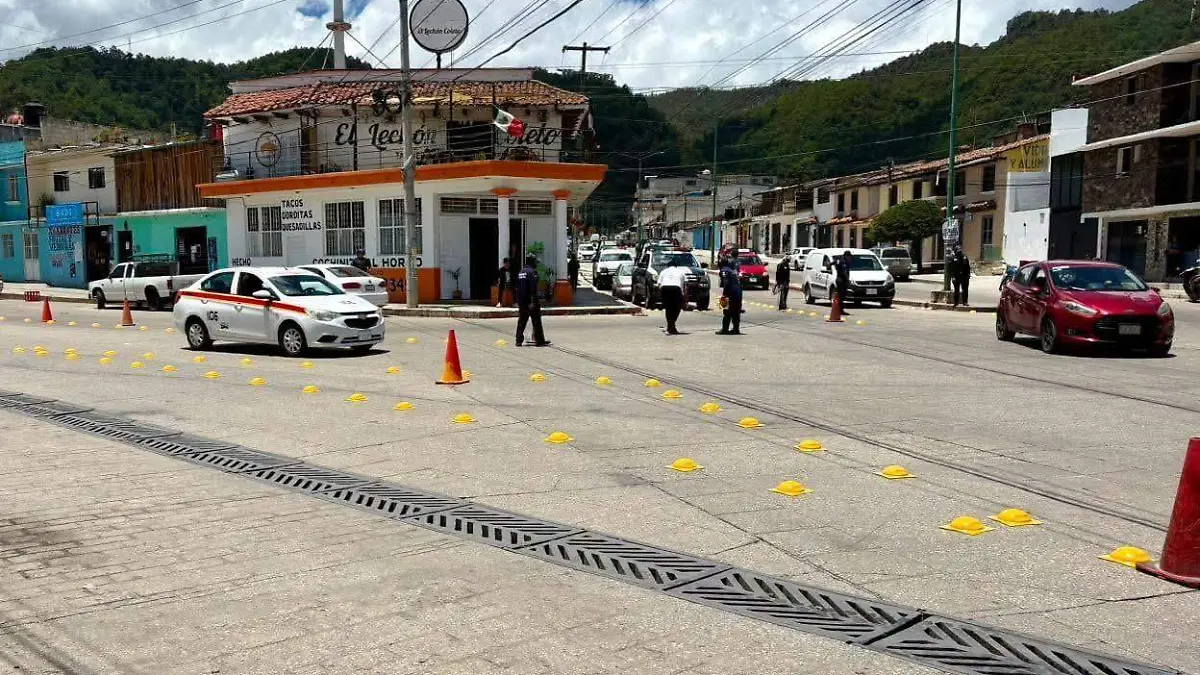 Perrito atropellado 3