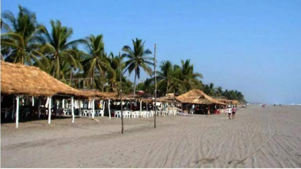 Puerto arista 