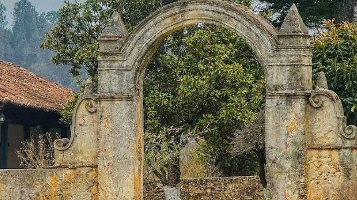 Finca el Obispo 2