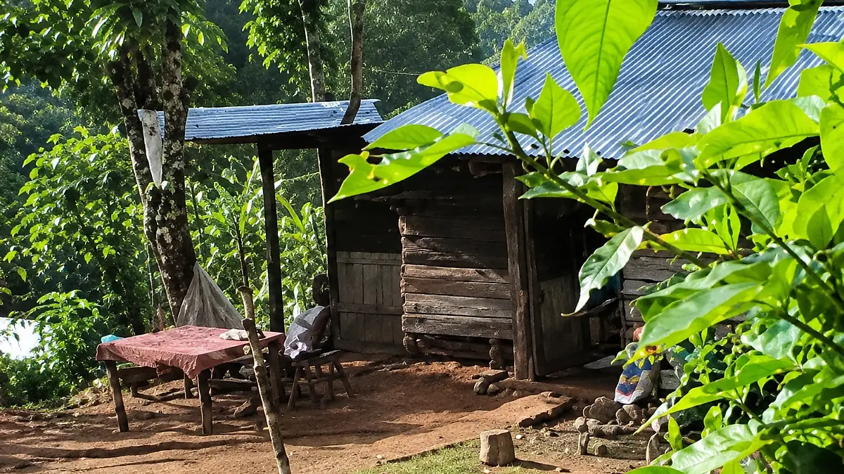 Casa