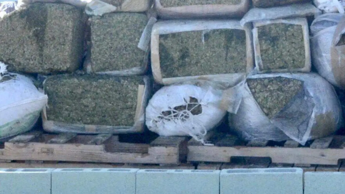 WhatsApp Image 2024-04-12 at 8.19.29 PM