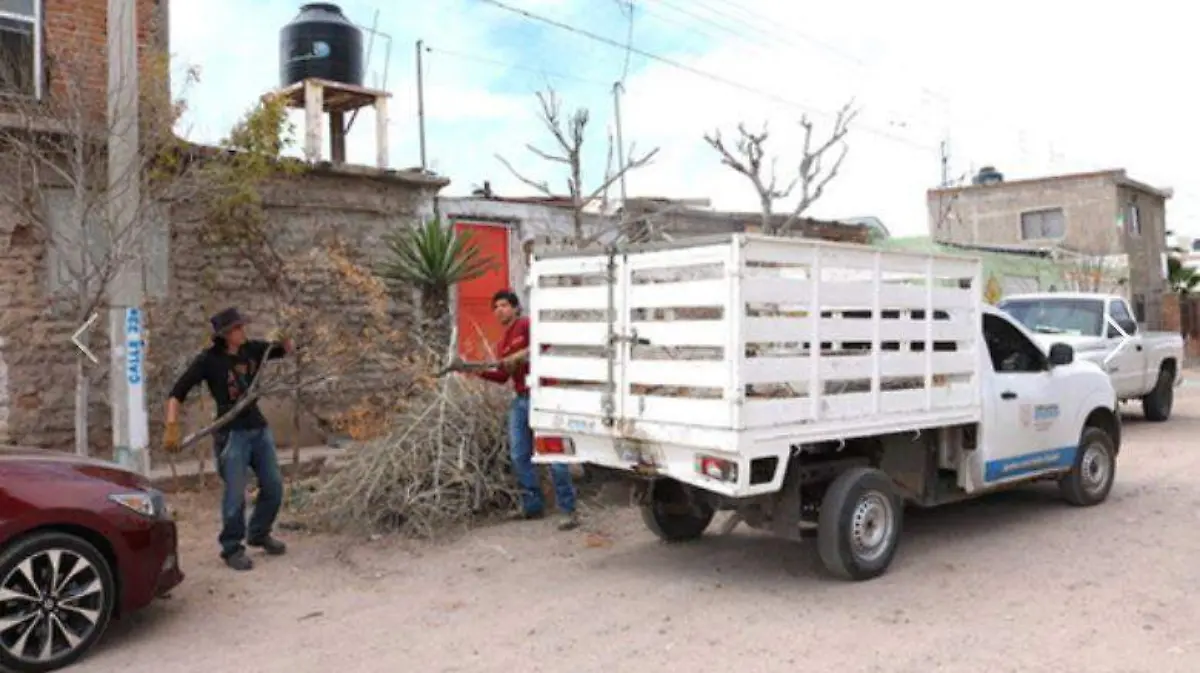 destilichadero municipio