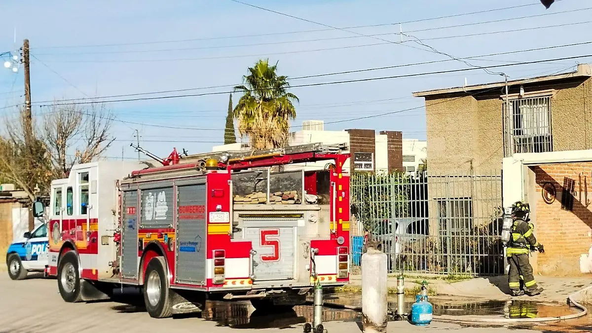 WhatsApp Image 2023-12-28 at 10.09.00 AM