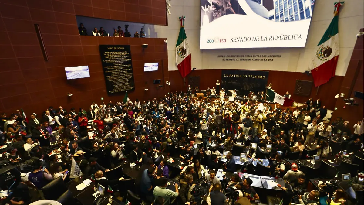 senado_laural