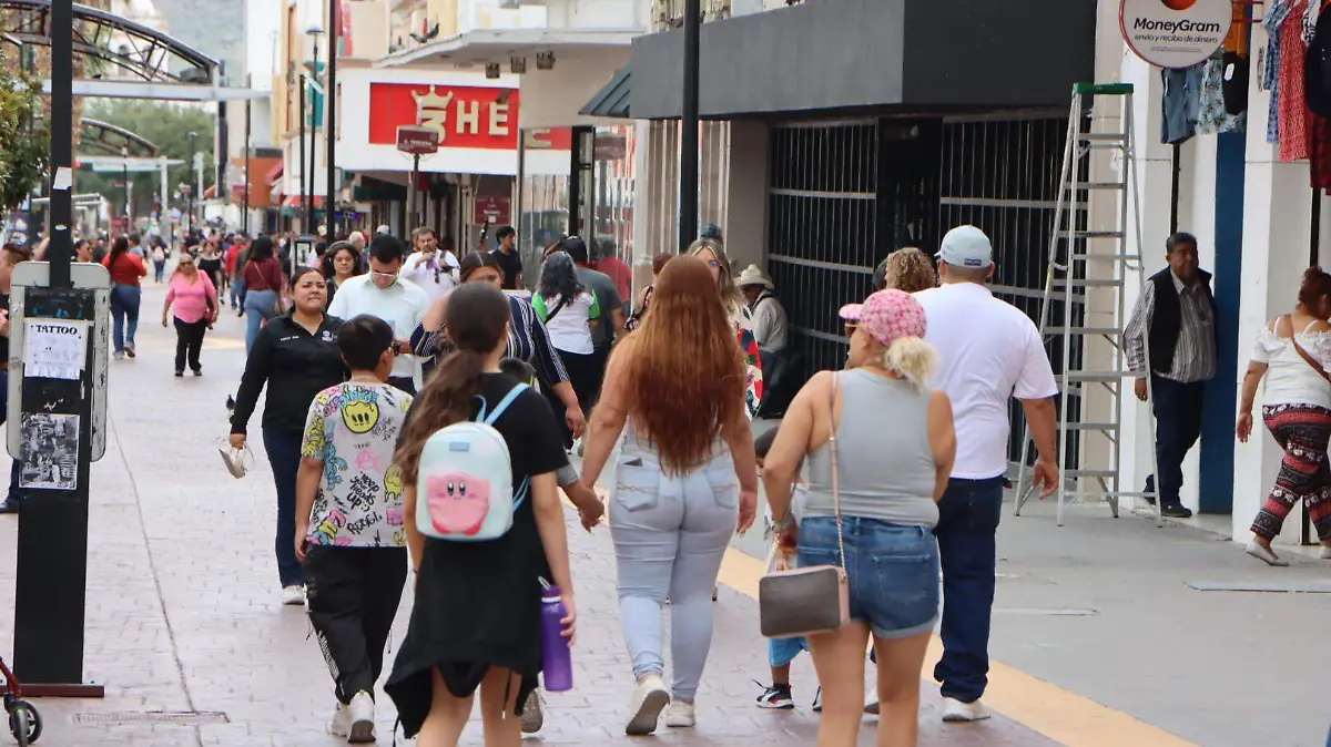 Movilidad En La Calle Libertad 