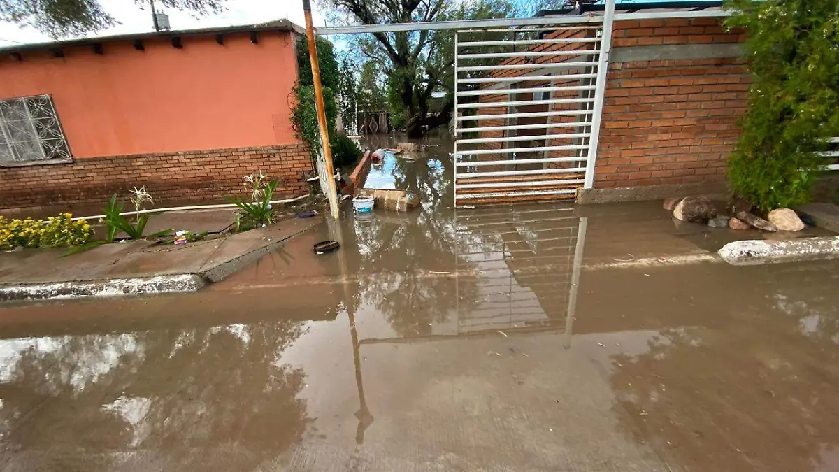 WhatsApp Image 2024-07-23 at 5.50.27 PM