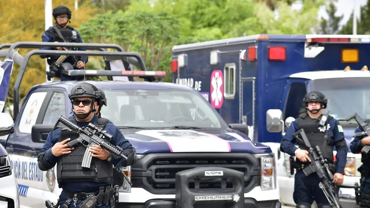 WhatsApp Image 2024-03-20 at 6.56.51 PM (1)