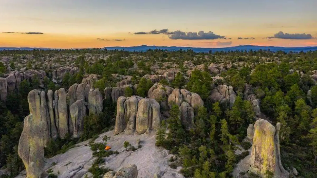 WhatsApp Image 2024-09-29 at 10.42.07 AM