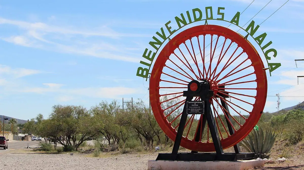 WhatsApp Image 2024-11-09 at 2.43.27 PM (1)