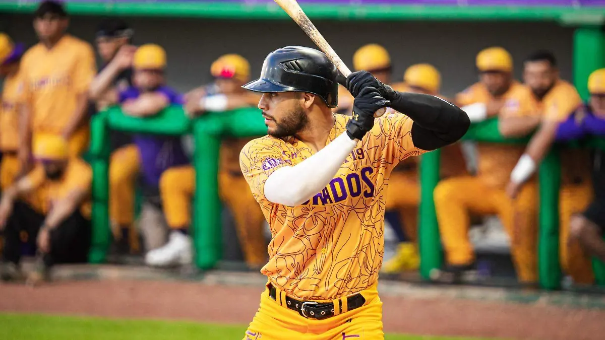 WhatsApp Image 2024-06-25 at 3.52.27 PM