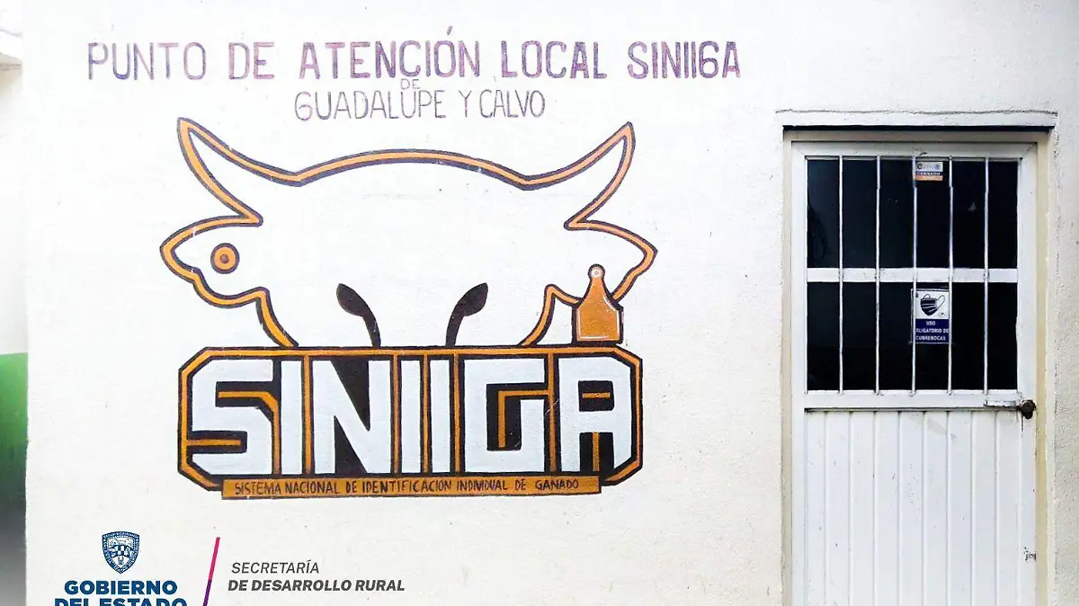 WhatsApp Image 2024-07-18 at 10.02.44 AM (1)