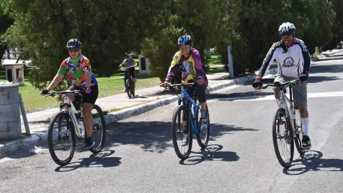 Bicicleta