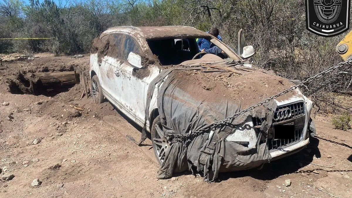 WhatsApp Image 2024-04-18 at 3.36.57 PM