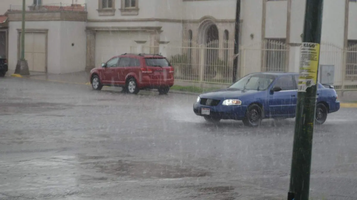 WhatsApp Image 2024-06-25 at 2.13.25 PM